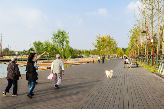 青奧文化體育公園景觀