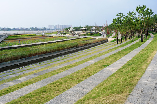 濕地花園