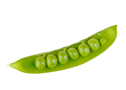 食品