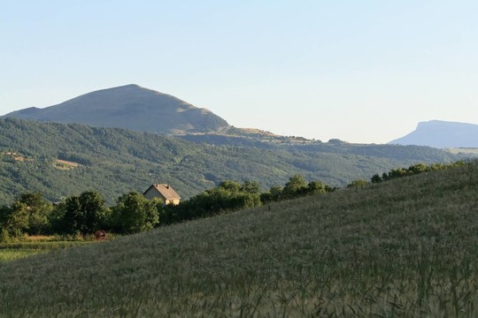 藍(lán)