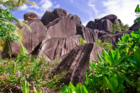 塞舌爾La digue3