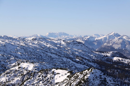 山