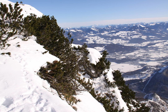 山