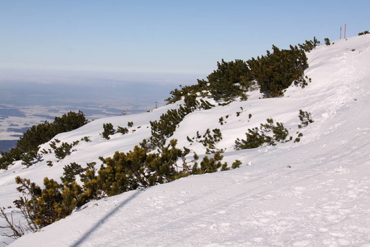 雪的痕跡