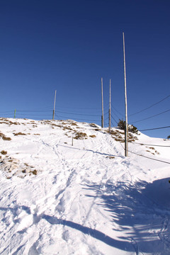 山