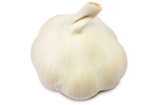 大蒜鱗莖