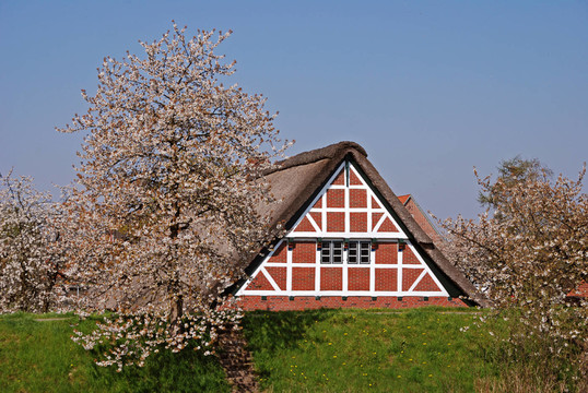 舊國都鐸式住宅