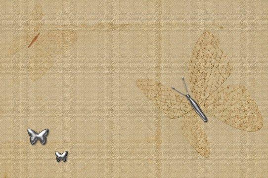 蝴蝶