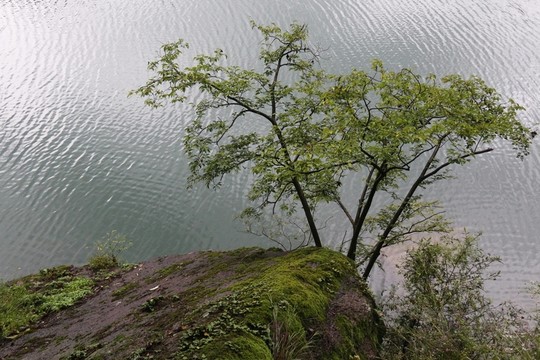 京山美人谷風(fēng)景
