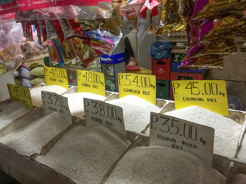 菲律賓 薄荷島 東南亞 海島