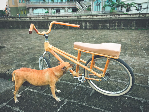 菲律賓 馬尼拉 東南亞 海島