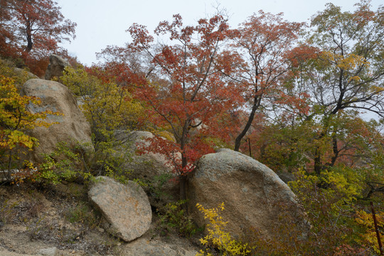 秋染喇嘛山