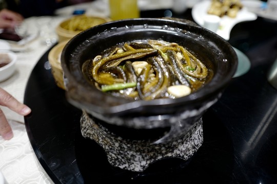 軟兜長魚