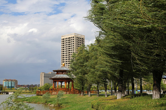 沈撫新城 金鳳灣公園