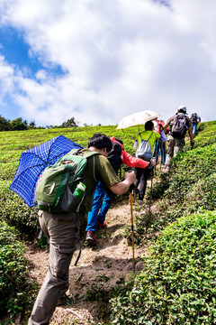 登山 山路 登山道