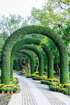 中山植物園景觀