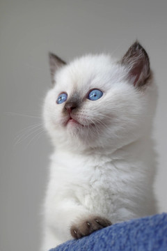 sweeeet