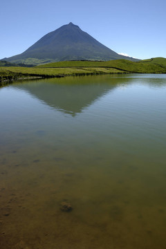 Pico Alto