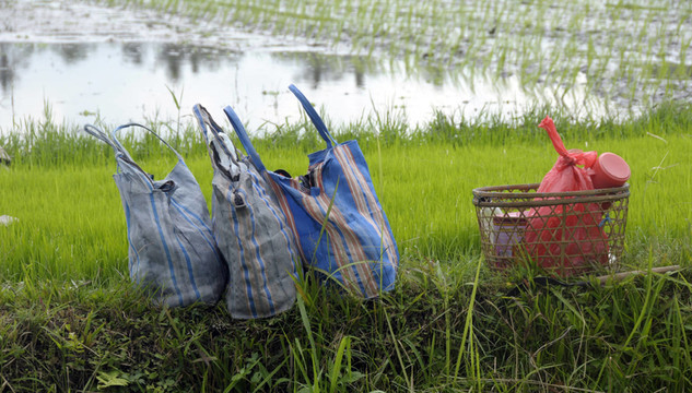 農(nóng)業(yè)
