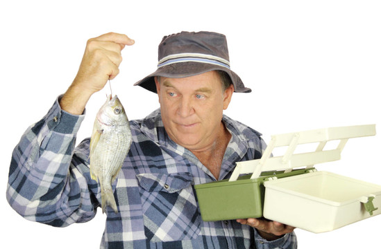 魚