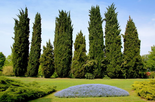 公園