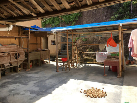 農家小院
