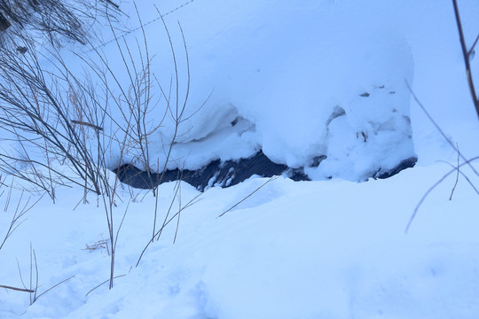 雪 雪鄉(xiāng) 東北 冬天 冰雪