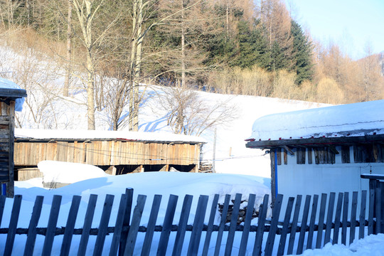 雪 雪鄉(xiāng) 東北 冬天 冰雪