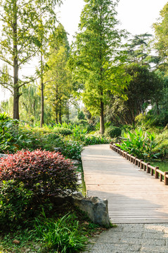 玄武湖公園風景