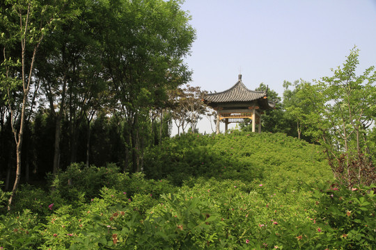涼亭