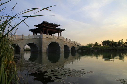 濕地公園