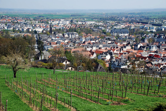 Bad Nauheim
