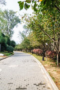 明城墻及沿墻道路景觀