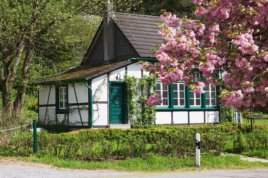 kotten
