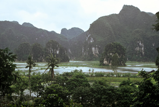 山