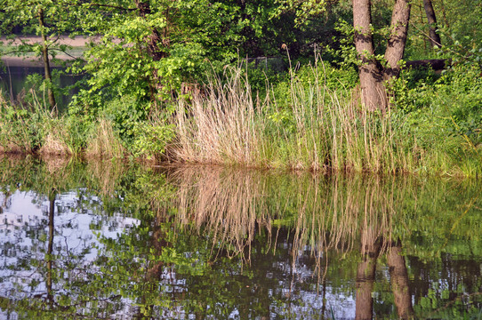 jungfernheide