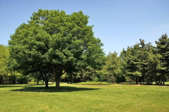 市鎮(zhèn)公園