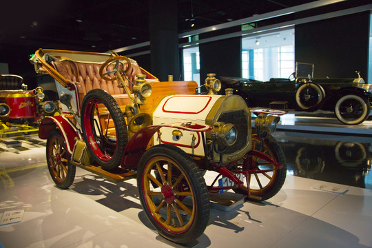 1911年斑馬