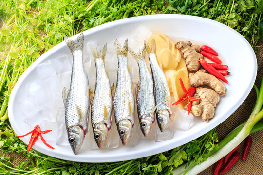 新鮮的魚