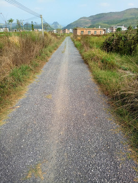 鄉(xiāng)村小路