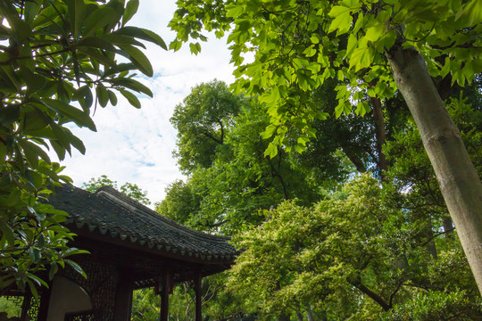 江南庭院