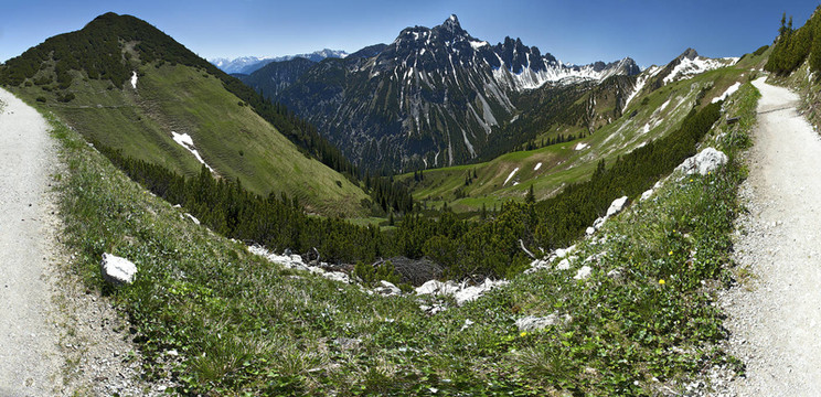 高山全景