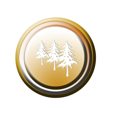 樹