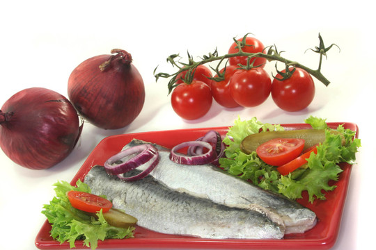 鯡魚