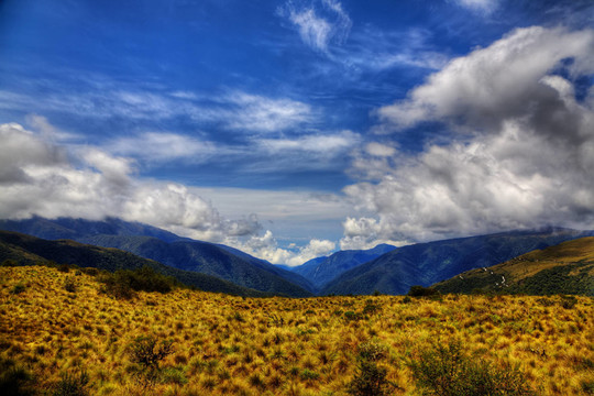 山