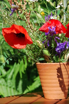 feldblumenstrauss