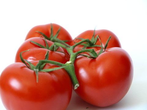 strauchtomaten