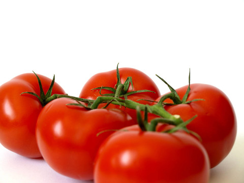 strauchtomaten