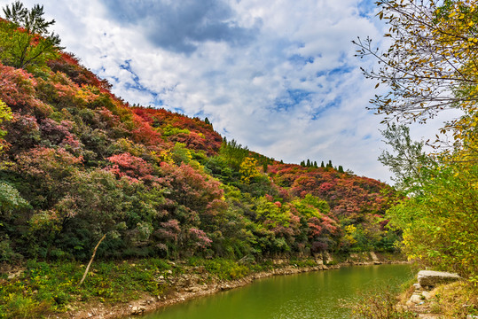 山谷紅葉