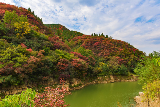 山中紅葉
